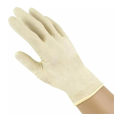 guante pulverizado estéril del examen del látex de la mano de la seguridad de los guantes quirúrgicos del látex 6ml
