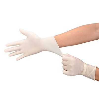 Guantes médicos disponibles del látex de la longitud blanca lechosa de 240m m ambientales